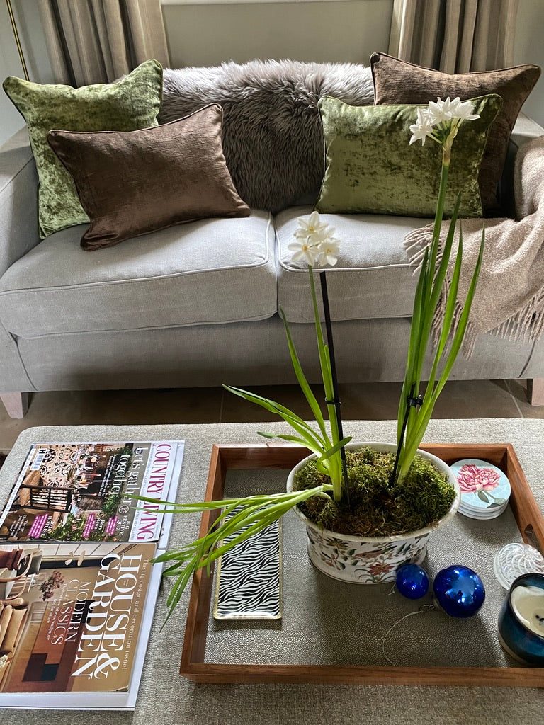 Luxury nut brown velvet cushion