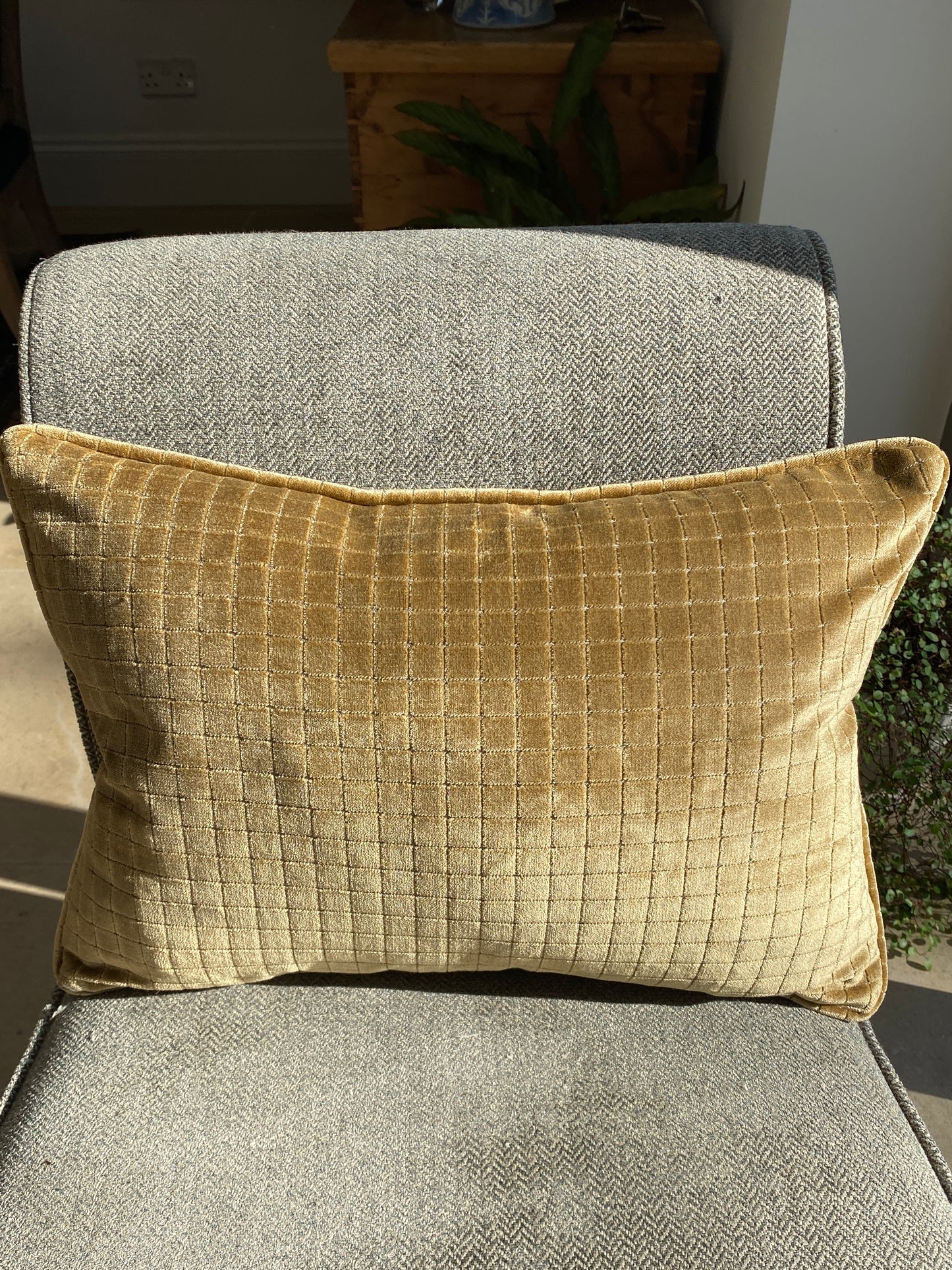 Gold textured velvet rectangular cushion on a chair