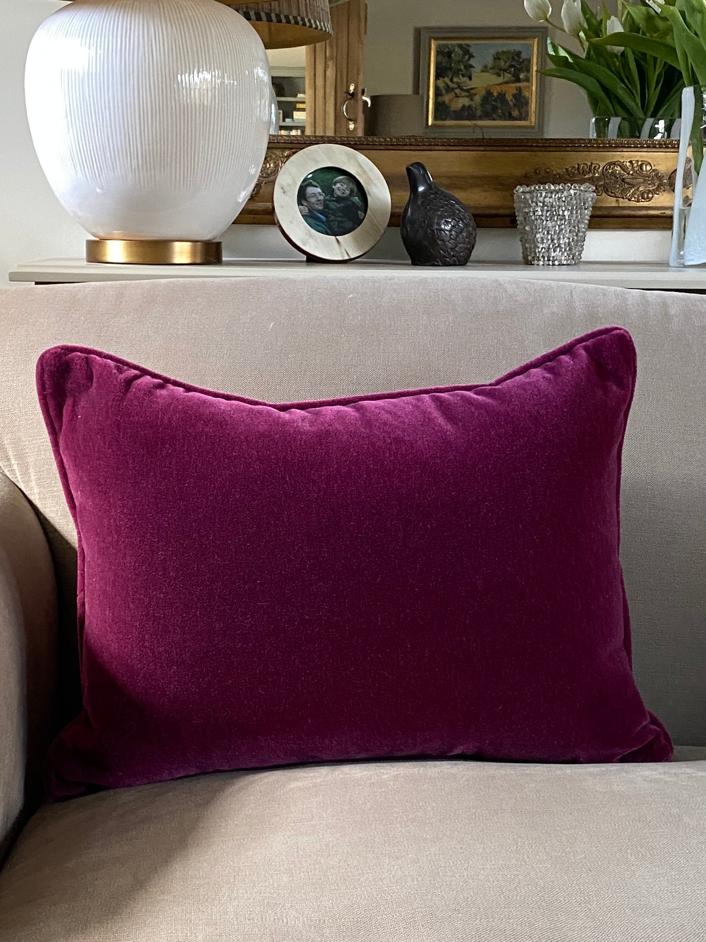 Raspberry mohair velvet cushion on a sofa